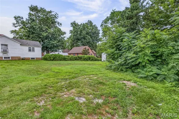 310 Moore ST, Festus, MO 63028