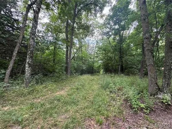 0 Walnut Street Place, New London, MO 63459