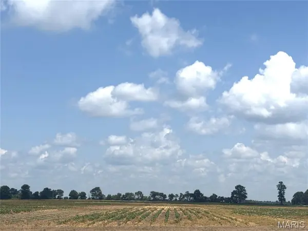 532 County Road, Kennett, MO 63857
