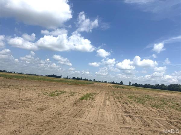 532 County Road, Kennett, MO 63857