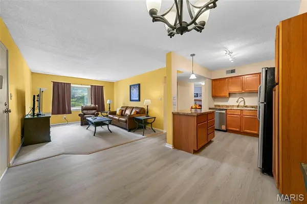 1411 Willow Brook CV #8, St Louis, MO 63146