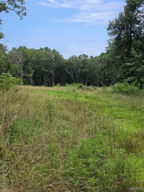 23675 Grandview RD, Lebanon, MO 65536