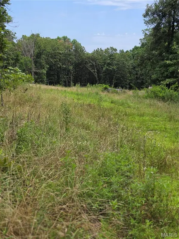 23675 Grandview RD, Lebanon, MO 65536
