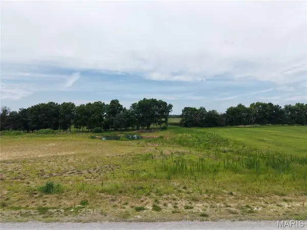 7 Lone Cedar, New London, MO 63459
