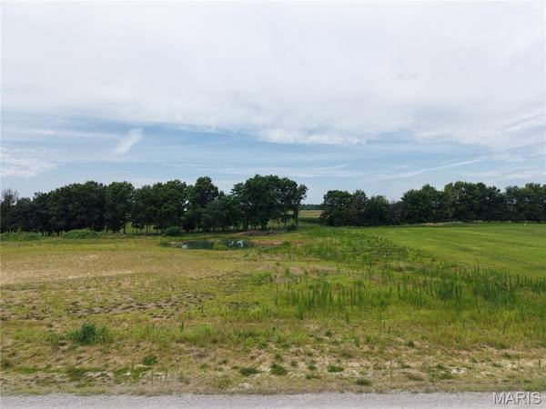 7 Lone Cedar, New London, MO 63459