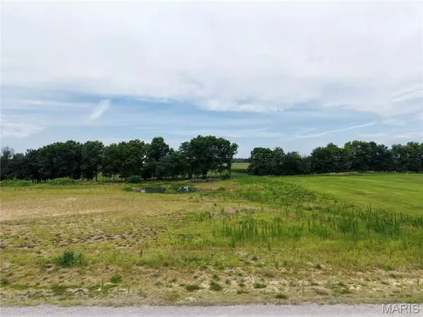 7 Lone Cedar, New London, MO 63459