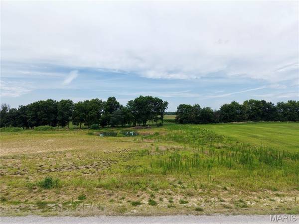 7 Lone Cedar, New London, MO 63459