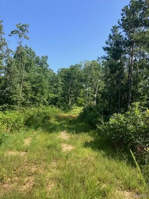 132 Madison CR 410, Fredericktown, MO 63645