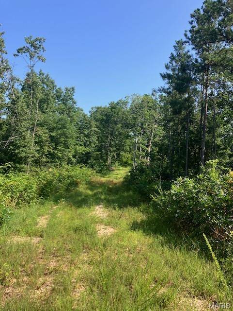 132 Madison CR 410, Fredericktown, MO 63645