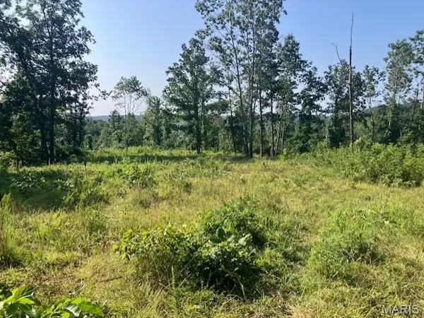 132 Madison CR 410, Fredericktown, MO 63645