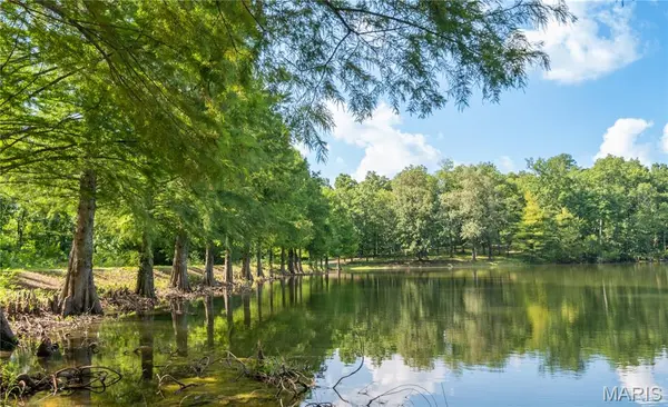 17340 County Road 252, Bloomfield, MO 63825