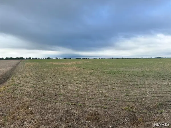 0 County Road 406, Hayti, MO 63851