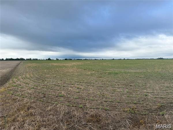 0 County Road 406, Hayti, MO 63851