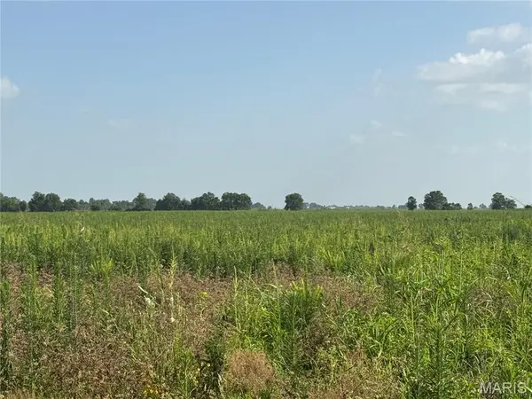 0 County Road 406, Hayti, MO 63851