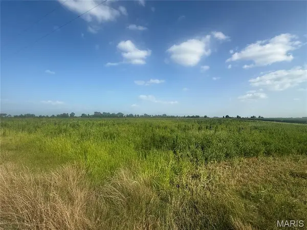 0 County Road 406, Hayti, MO 63851