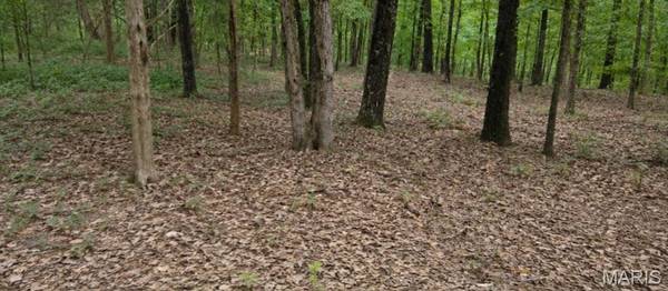 2346 W Squire RD, Marthasville, MO 63357