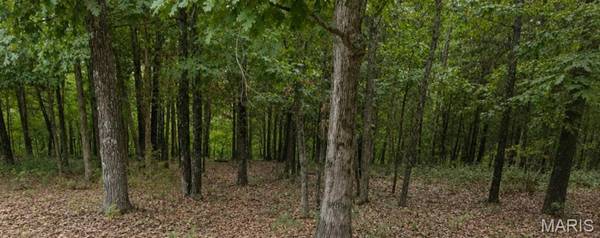 2346 W Squire RD, Marthasville, MO 63357