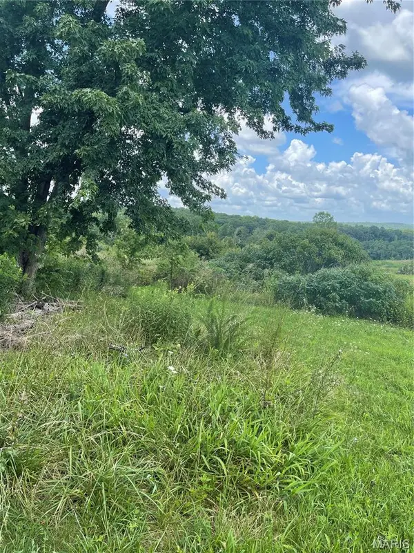 15639 State Highway 185, Potosi, MO 63664