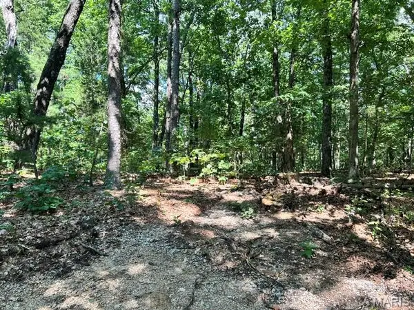1 Forest Rd Banner-Belleview RD, Belleview, MO 63623