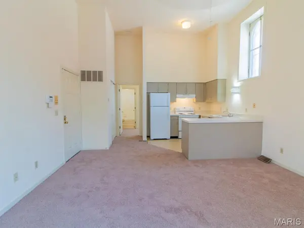 2328 S 9th ST, St Louis, MO 63104