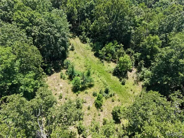 000 Highway 172, Williamsville, MO 63957