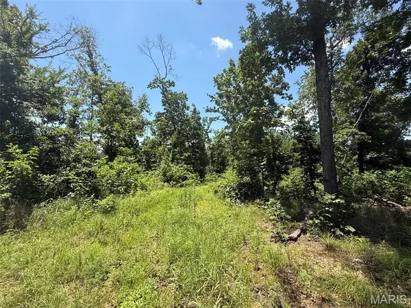 0 BCR 840, Marquand, MO 63655