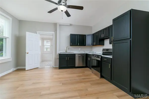 3841 Michigan AVE, St Louis, MO 63118
