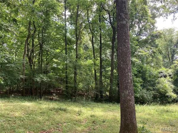 0 Scenic View LN, Cape Girardeau, MO 63701