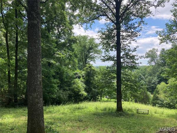 0 Scenic View LN, Cape Girardeau, MO 63701