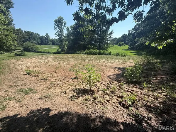 717 Lincoln ST, Elsberry, MO 63343