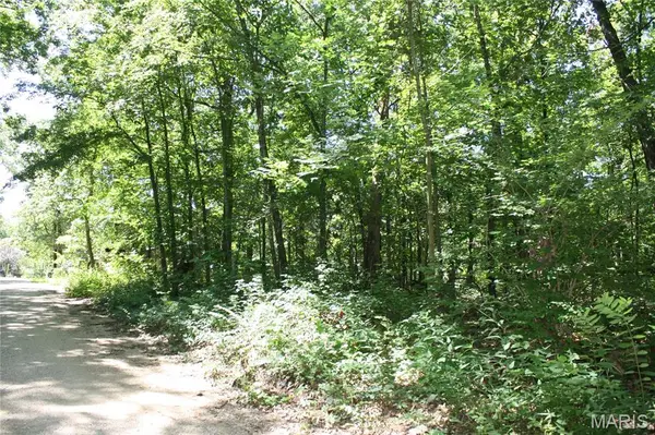 00 Lakview Drive, Wappapello, MO 63966