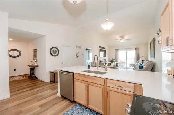 1009 Black Bear DR, House Springs, MO 63051
