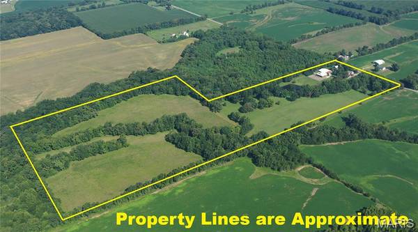 23036 Carlyle RD, Thompsonville, IL 62890