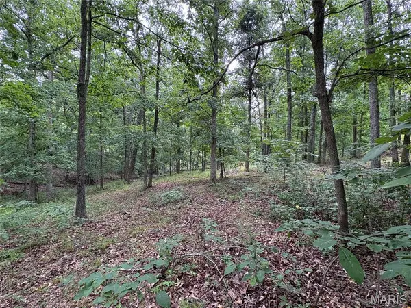 7038 S Port Perry DR, Perryville, MO 63775