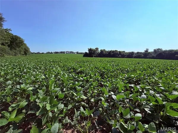 0 Walnut Hill Ln. (36.31+/- Acres), Elsberry, MO 63343