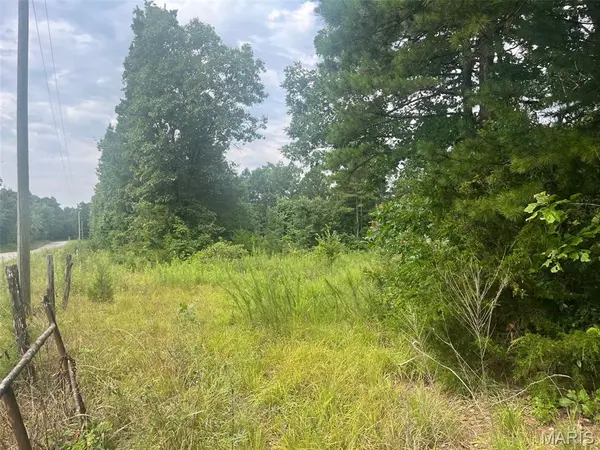 0 Grassy Hollow RD, Potosi, MO 63664
