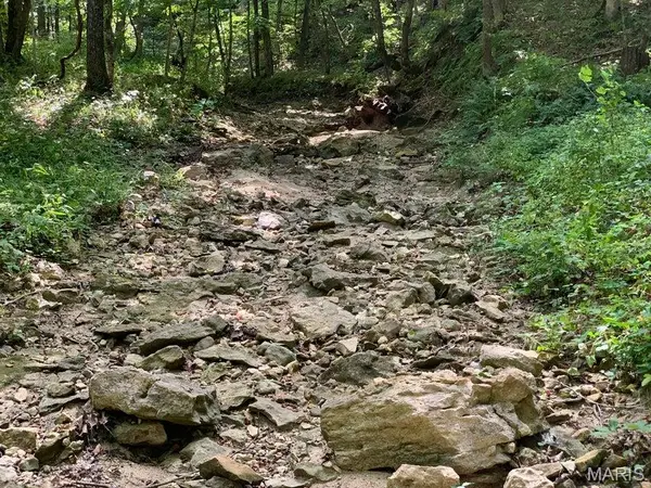 TBD Branch RD, Fulton, MO 65251