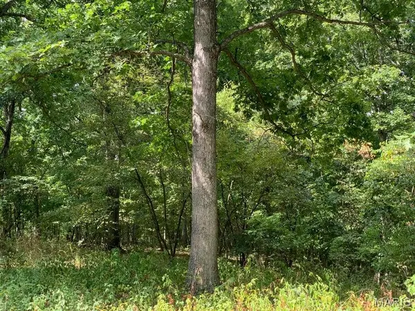 TBD Branch RD, Fulton, MO 65251