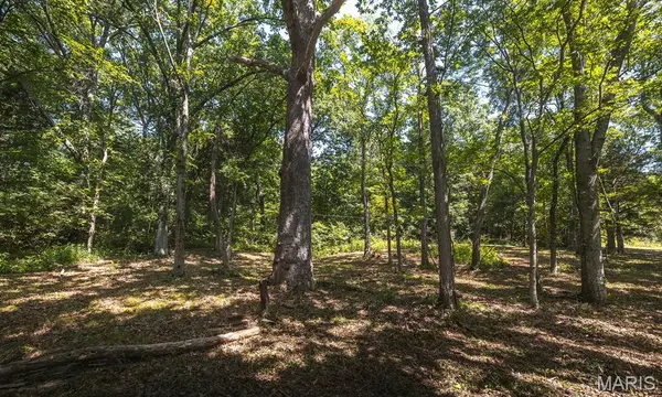 3107 Bouquet RD, Glencoe, MO 63038