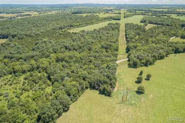 1175 Three Rivers RD, Farmington, MO 63640