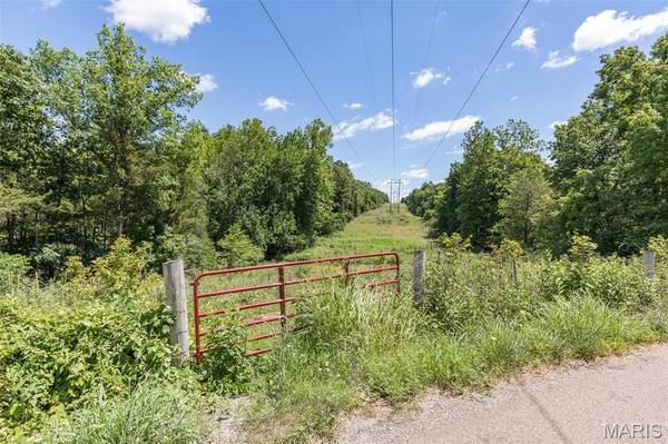 1175 Three Rivers RD, Farmington, MO 63640