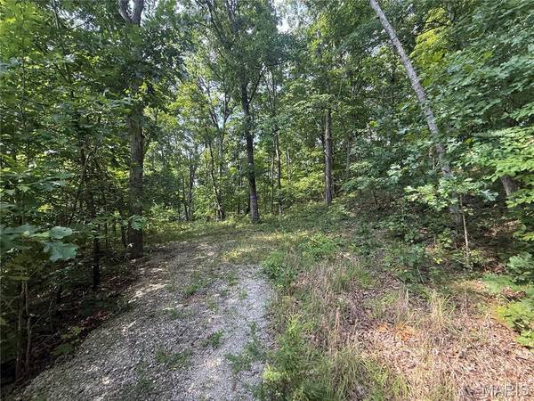 E Swaller RD, Imperial, MO 63052
