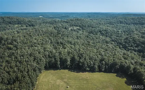 Tract 1 Private Drive 2336, Norwood, MO 65717