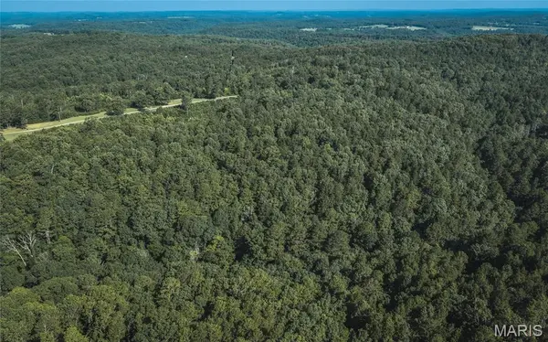 Tract 4 Private Drive 2336, Norwood, MO 65717