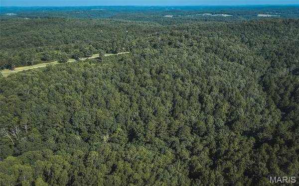 Tract 4 Private Drive 2336, Norwood, MO 65717