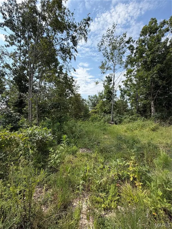 #136 Madison 410, Fredericktown, MO 63645