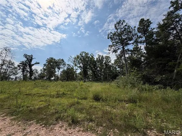 #136 Madison 410, Fredericktown, MO 63645