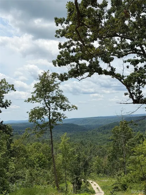 #136 Madison 410, Fredericktown, MO 63645