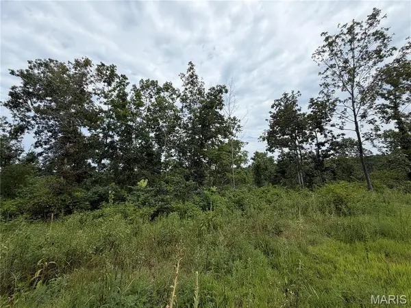 #400 Madison 410, Fredericktown, MO 63645
