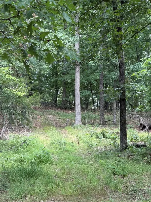 #306 Madison 410, Fredericktown, MO 63645